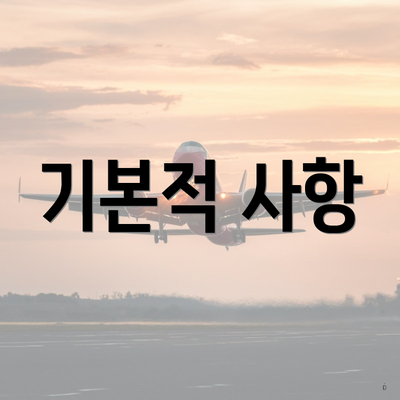 기본적 사항