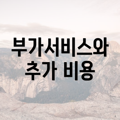 부가서비스와 추가 비용