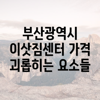 부산광역시 이삿짐센터 가격 괴롭히는 요소들