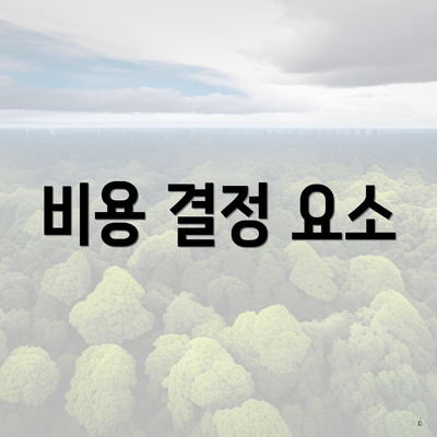 비용 결정 요소