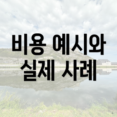 비용 예시와 실제 사례