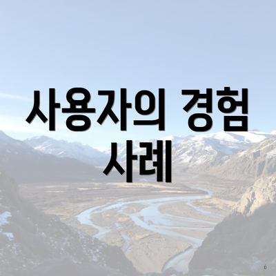 사용자의 경험 사례