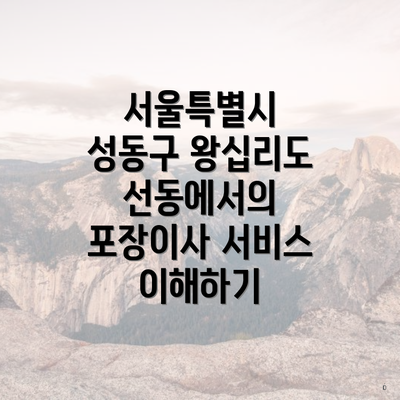 서울특별시 성동구 왕십리도선동에서의 포장이사 서비스 이해하기