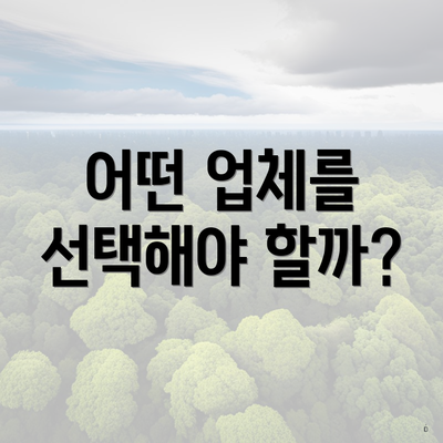 어떤 업체를 선택해야 할까?