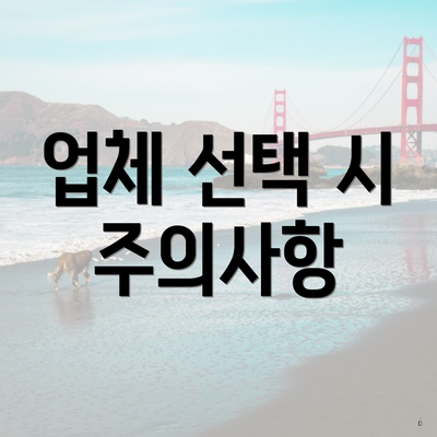 업체 선택 시 주의사항