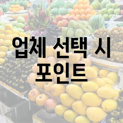 업체 선택 시 포인트