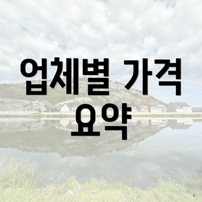 업체별 가격 요약