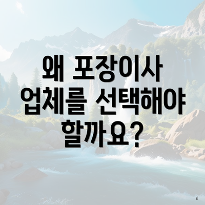 왜 포장이사 업체를 선택해야 할까요?