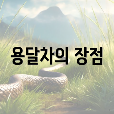 경상남도 사천시 서포면 포장이사 이삿짐센터 가격 | 가격비교 | 견적 | 원룸 | 투룸 | 쓰리룸 | 순위 | 업체 | 견적 | 비용 | 아파트 | 용달 | 사다리차 6 용달차의 장점