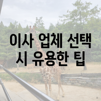 이사 업체 선택 시 유용한 팁