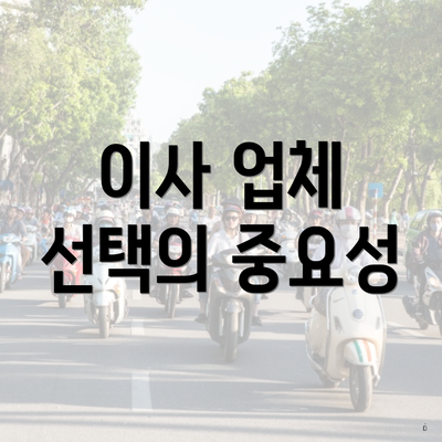 이사 업체 선택의 중요성