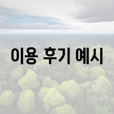 이용 후기 예시