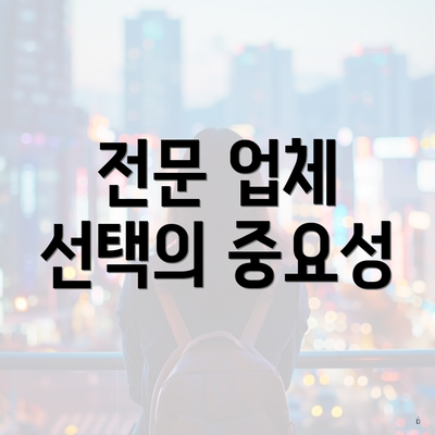 전문 업체 선택의 중요성