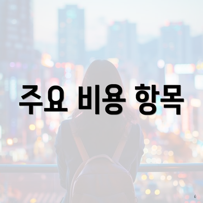 주요 비용 항목
