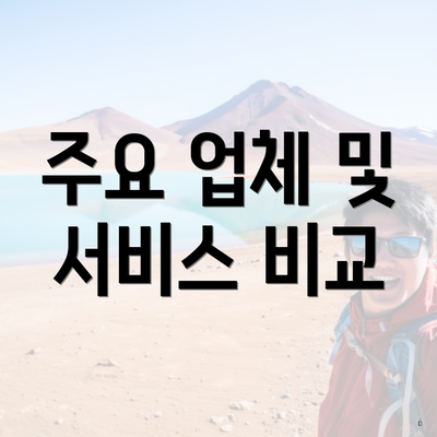 주요 업체 및 서비스 비교