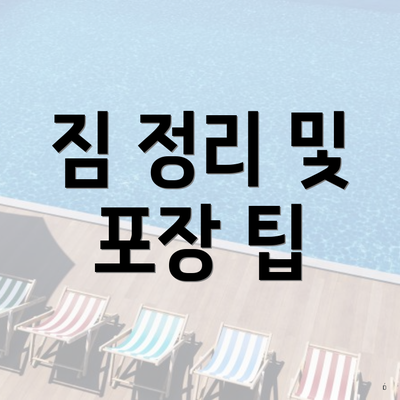 짐 정리 및 포장 팁