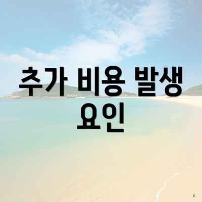 추가 비용 발생 요인