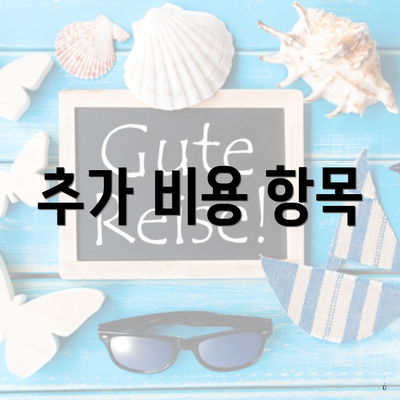 추가 비용 항목