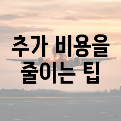 추가 비용을 줄이는 팁