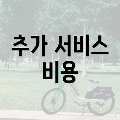 추가 서비스 비용