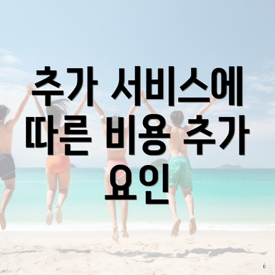 추가 서비스에 따른 비용 추가 요인