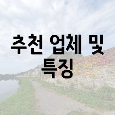 추천 업체 및 특징