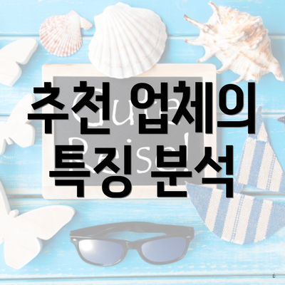 추천 업체의 특징 분석