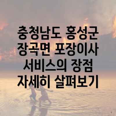 충청남도 홍성군 장곡면 포장이사 서비스의 장점 자세히 살펴보기