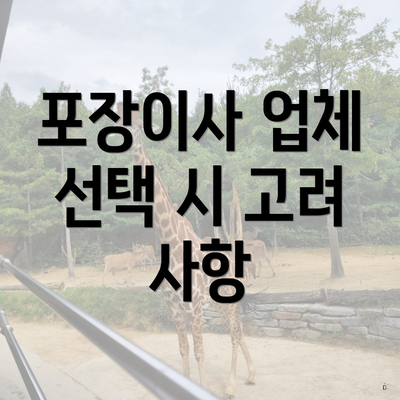 포장이사 업체 선택 시 고려 사항
