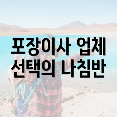 포장이사 업체 선택의 나침반