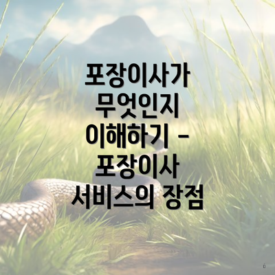 포장이사가 무엇인지 이해하기 - 포장이사 서비스의 장점