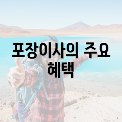 포장이사의 주요 혜택