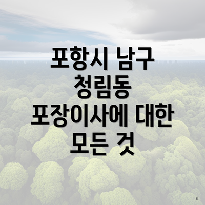포항시 남구 청림동 포장이사에 대한 모든 것