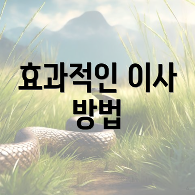 효과적인 이사 방법
