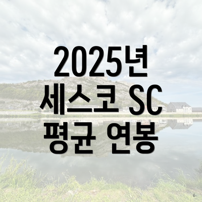 2025년 세스코 SC 평균 연봉