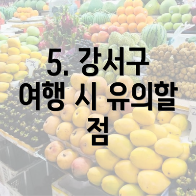5. 강서구 여행 시 유의할 점