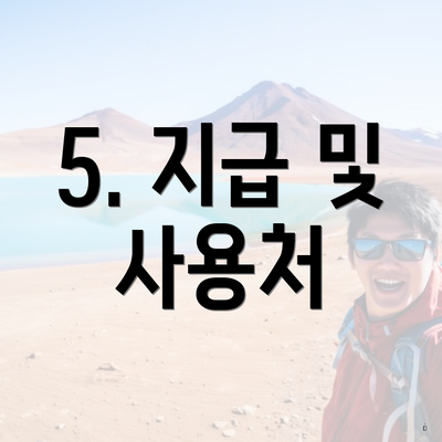 5. 지급 및 사용처