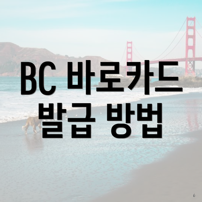 BC 바로카드 발급 방법