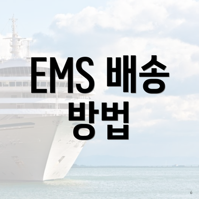 EMS 배송 방법