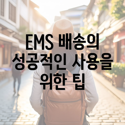 EMS 배송의 성공적인 사용을 위한 팁