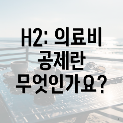 H2: 의료비 공제란 무엇인가요?