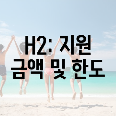 H2: 지원 금액 및 한도