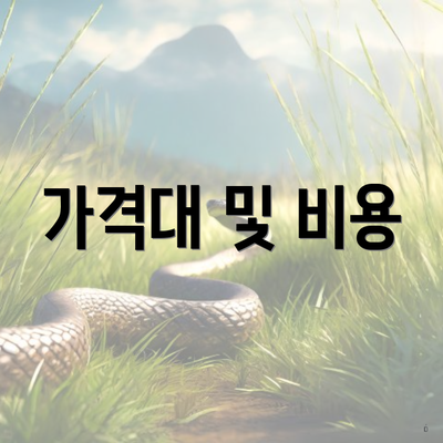 가격대 및 비용