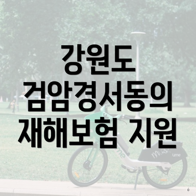 강원도 검암경서동의 재해보험 지원