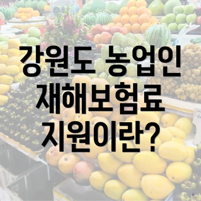 강원도 농업인 재해보험료 지원이란?