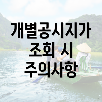 2025 개별공시지가 조회 5 개별공시지가 조회 시 주의사항