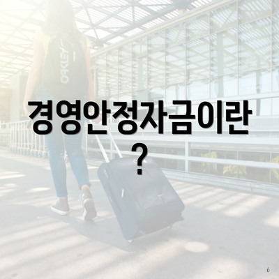 경영안정자금이란?