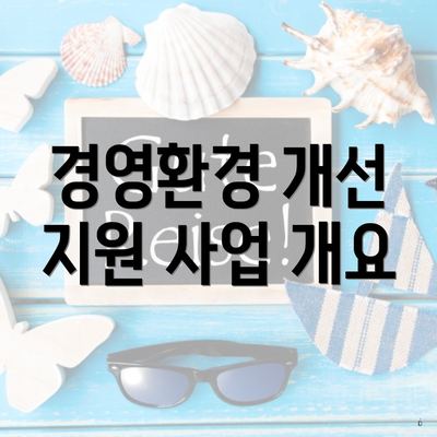 경영환경 개선 지원 사업 개요