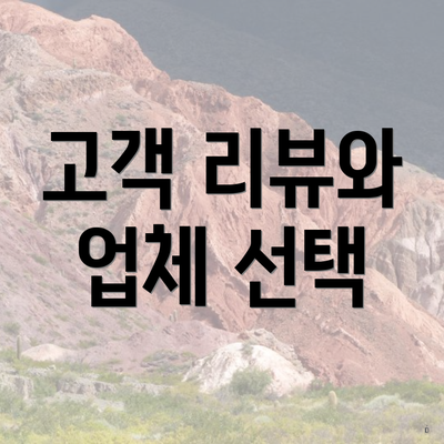 고객 리뷰와 업체 선택