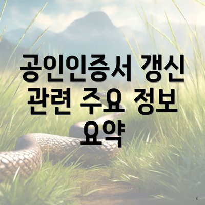 공인인증서 갱신 관련 주요 정보 요약